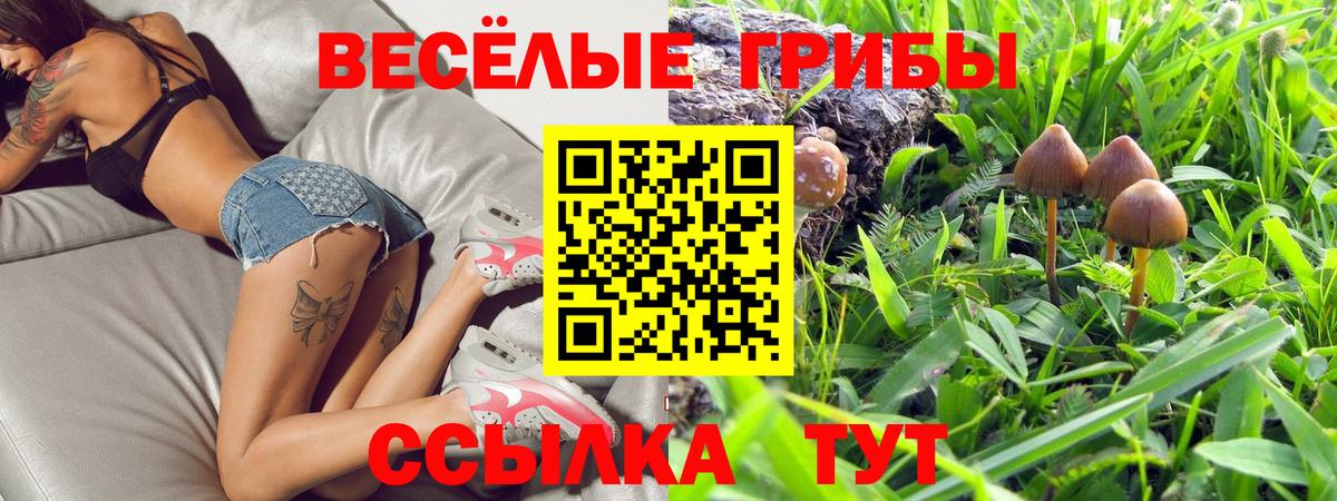 Псилоцибиновые грибы Cubensis  Псилоцибиновые грибы мицелий  Вход с VPN  Удомля 